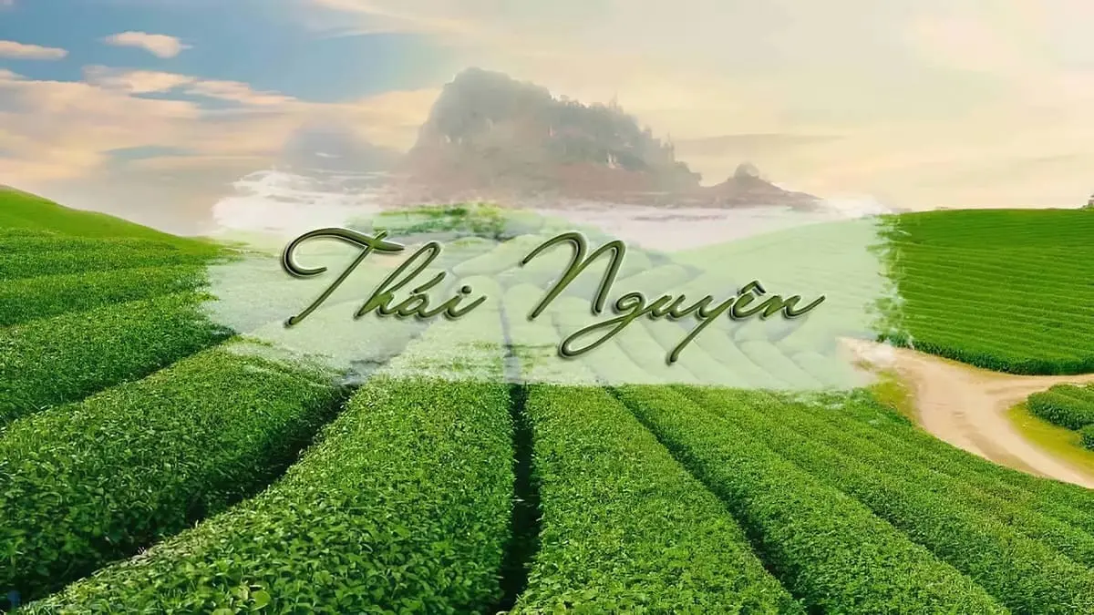 Video giới thiệu dự án Túc Duyên